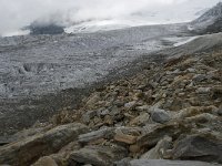 CH, Wallis, Saas Fee, Feegletscher 56, Saxifraga-Willem van Kruijsbergen