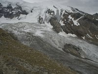 CH, Wallis, Saas Grund, Hohsaas, Triftgletscher 18, Saxifraga-Willem van Kruijsbergen