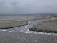 NL, Friesland, Ameland, Dantziggat 18, Saxifraga-Hans Boll