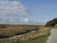 NL, Friesland, Terschelling, Noordsvaarder 28, Saxifraga-Marijke Verhagen