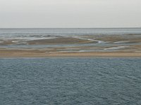 NL, Friesland, Terschelling, Terschellinger wad 1, Saxifraga-Hans Boll