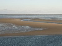 NL, Friesland, Terschelling, Terschellinger wad 11, Saxifraga-Hans Boll