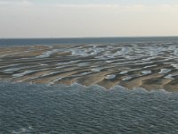 NL, Friesland, Terschelling, Terschellinger wad 17, Saxifraga-Hans Boll