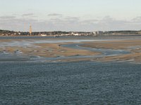 NL, Friesland, Terschelling, Terschellinger wad 9, Saxifraga-Hans Boll