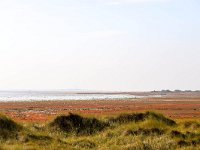 NL, Friesland, Vlieland, Posthuis 1, Saxifraga-Bart Vastenhouw