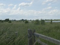 NL, Gelderland, Culemborg, Goilberdingerwaard 21, Saxifraga-Willem van Kruijsbergen