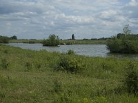 NL, Gelderland, Culemborg, Goilberdingerwaard 22, Saxifraga-Willem van Kruijsbergen