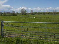 NL, Gelderland, Maasdriel, Buitenpolder Heerewaarden 4, Saxifraga-Jan van der Straaten