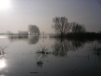 NL, Gelderland, Rheden, Havikswaard 23, Saxifraga-Henk Sierdsema