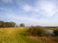 NL, Gelderland, Voorst, Bandijk 1, Saxifraga-Bart Vastenhouw