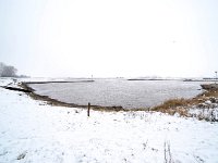 NL, Gelderland, Zutphen, IJssel 16, Saxifraga-Bart Vastenhouw