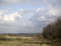 NL, Gelderland, Zaltbommel, Breemwaard 1, Saxifraga-Roel Meijer