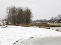 Winterlandschap Afgedamde Maas  Winter landscape along the river Meuse near Poederoijen, Gelderland, Netherlands : color, colour, countryside, Europe European, Gelderland, Holland, horizontal, ice icy, Netherlands, reed, river, riverscape, rural, rural landscape, snow snowy, stream, water, winter