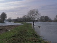 NL, Gelderland, Zaltbommel, Munniklenland 11,  Saxifraga-Jan van der Straaten