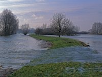 NL, Gelderland, Zaltbommel, Munniklenland 6,  Saxifraga-Jan van der Straaten