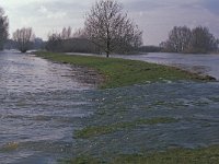 NL, Gelderland, Zaltbommel, Munniklenland 9,  Saxifraga-Jan van der Straaten