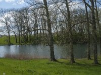 NL, Noord-Brabant, 's-Hertogenbosch, De Koornwaard 2, Saxifraga-Jan van der Straaten