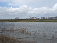 NL, Noord-Brabant, Altena, Kievitswaard 2, Saxifraga-Willem van Kruijsbergen