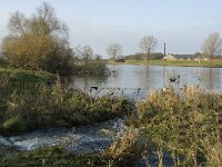 NL, Noord-Brabant, Boxmeer, Oeffeltsche Raam 13, Saxifraga-Jan van der Straaten