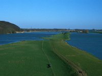 NL, Utrecht, Rhenen 2, Saxifraga-Jan van der Straaten