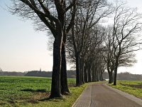 NL, Drenthe, Aa en Hunze, Balloo 1, Saxifraga-Hans Dekker