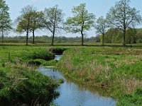 NL, Drenthe, Aa en Hunze, Gasteren 3, Saxifraga-Hans Dekker