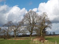 NL, Drenthe, Aa en Hunze, Geelbroek 5, Saxifraga-Hans Dekker