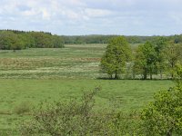 NL, Drenthe, Aa en Hunze, Holmers, Halkenbroek 1, Saxifraga-Hans Dekker