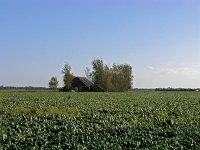 NL, Drenthe, Borger-Odoorn, Bronnegerveen 1, Saxifraga-Hans Dekker