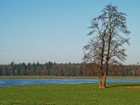 NL, Drenthe, Coevorden, Mepperhooilanden 1, Saxifraga-Hans Dekker