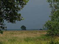 NL, Drenthe, De Wolden, Benderse 1, Saxifraga-Hans Dekker