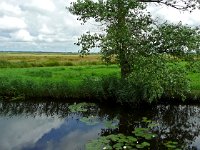 NL, Drenthe, Noordenveld, Polder Matsloot 1, Saxifraga-Hans Dekker