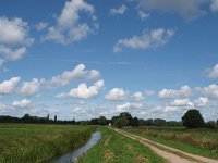 NL, Drenthe, Tynaarlo, Polder Lappenvoort 2, Saxifraga-Hans Dekker