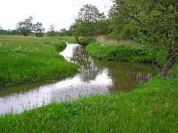 NL, Drenthe, Tynaarlo, Taarlo, Drentsche Aa 1, Saxifraga-Hans Dekker