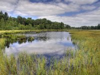 natural marsh in HDR  natural marsh in HDR : Drenthe, Netherlands, blauw, blue, boom, bos, bosrand, bosven, calm, cloud, clouds, cloudy sky, color, colorful, corporate, dramatic, dramatische, dutch, dwingelderveld, dwingeloo, energetic, energiek, forest, forest edge, fresh foliage, fresh water, fris, gebladerte, gras, grass, green, groen, hdr, heath, heather, heathland, hei, heide, heideterrein, heideveld, holland, kalmte, kleur, kleurrijke, lake, landscape, landschap, lente, levendig, lucht, marsh, marshland, marshy, meer, meertje, middag, mirroring, moeras, moerassig, moor, moorland, natura 2000, natural, nature, natuur, natuurbeheer, natuurbeleid, natuurgebied, natuurlijke, natuurwet, nederland, nederlands, noon, poel, pond, pool, reeds, reflectie, reflection, riet, rudmer zwerver, scenery, sky, spiegeling, spring, summer, swamps, tree, vegetatie, vegetation, ven, vijver, vivid, water, waterfront, waterkant, weerspiegeling, westerveld, white, wit, wolk, wolken, wolkenlucht, zoet water, zomer