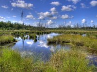 Fluffy clouds  Fluffy clouds above dutch natural pond : Drenthe, Netherlands, blauw, blue, bos, bosrand, bosven, clouds, cloudy sky, corporate, creative nature, dwingelderveld, dwingeloo, forest, forest edge, green, groen, heath, heathland, hei, heide, heideterrein, heideveld, holland, lake, landscape, landschap, marsh, meer, meertje, mirroring, moeras, moor, moorland, natura 2000, nature, natuur, natuurgebied, nederland, poel, pond, reflection, rudmer zwerver, spiegeling, summer, vegetatie, vegetation, ven, water, waterfront, waterkant, weerspiegeling, westerveld, white, wit, wolken, wolkenlucht, zomer