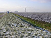 NL, Flevoland, Zeewolde 11, Saxifraga-Henk Sierdsema