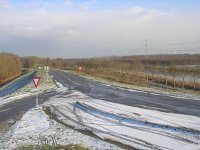 NL, Flevoland, Zeewolde 15, Saxifraga-Henk Sierdsema