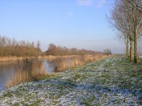 NL, Flevoland, Zeewolde 16, Saxifraga-Henk Sierdsema