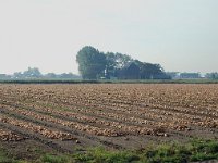 NL, Friesland, Ferwerderadeel, Blija 1, Saxifraga-Jan van der Straaten