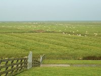 NL, Friesland, Ferwerderadeel, Polder Bokkepollen en de Keegen 1, Saxifraga-Jan van der Straaten