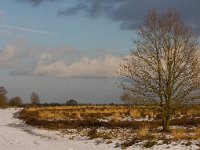 Ermelose heide  Winterlandschap Ermelose heide