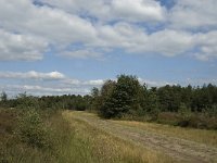 NL, Noord-Brabant, Bladel, Neterselsche Heide 15, Saxifraga-Jan van der Straaten