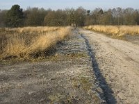 NL, Noord-Brabant, Goirle, Regte Heide 15, Saxifraga-Jan van der Straaten