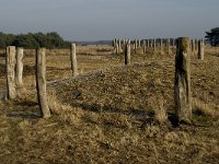 NL, Noord-Brabant, Goirle, Regte Heide 18, Saxifraga-Jan van der Straaten