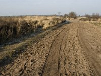 NL, Noord-Brabant, Goirle, Regte Heide 8, Saxifraga-Jan van der Straaten