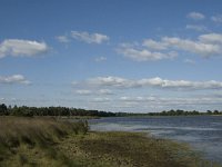 NL, Noord-Brabant, Oirschot, Landschotsche Heide 12, Saxifraga-Jan van der Straaten