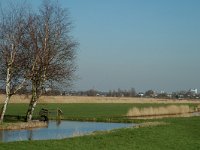 NL, Noord-Holland, Zaanstad, Polder Westzaan 9, Saxifraga-Marijke Verhagen