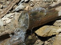 F, Drome, Treschenu-Creyers, Fontaine du Creuson 3, Saxifraga-Jan van der Straaten