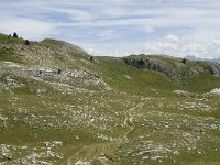 F, Drome, Treschenu-Creyers, Vallon de Combeau 101, Saxifraga-Willem van Kruijsbergen